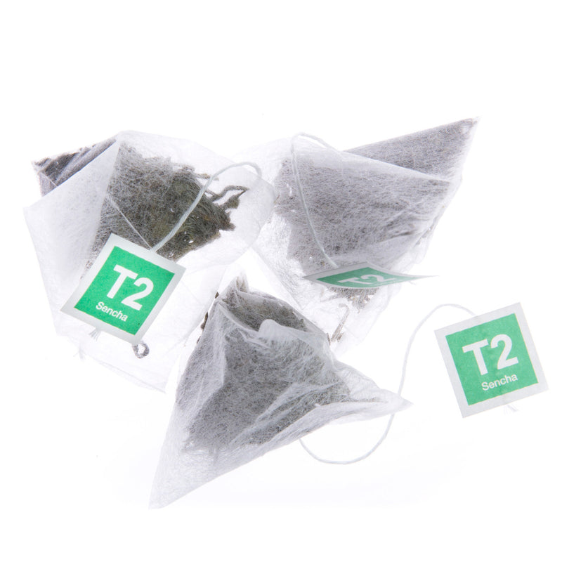 T2 Sencha Teabag Gift Cube 25pk - Twin Flame Collections