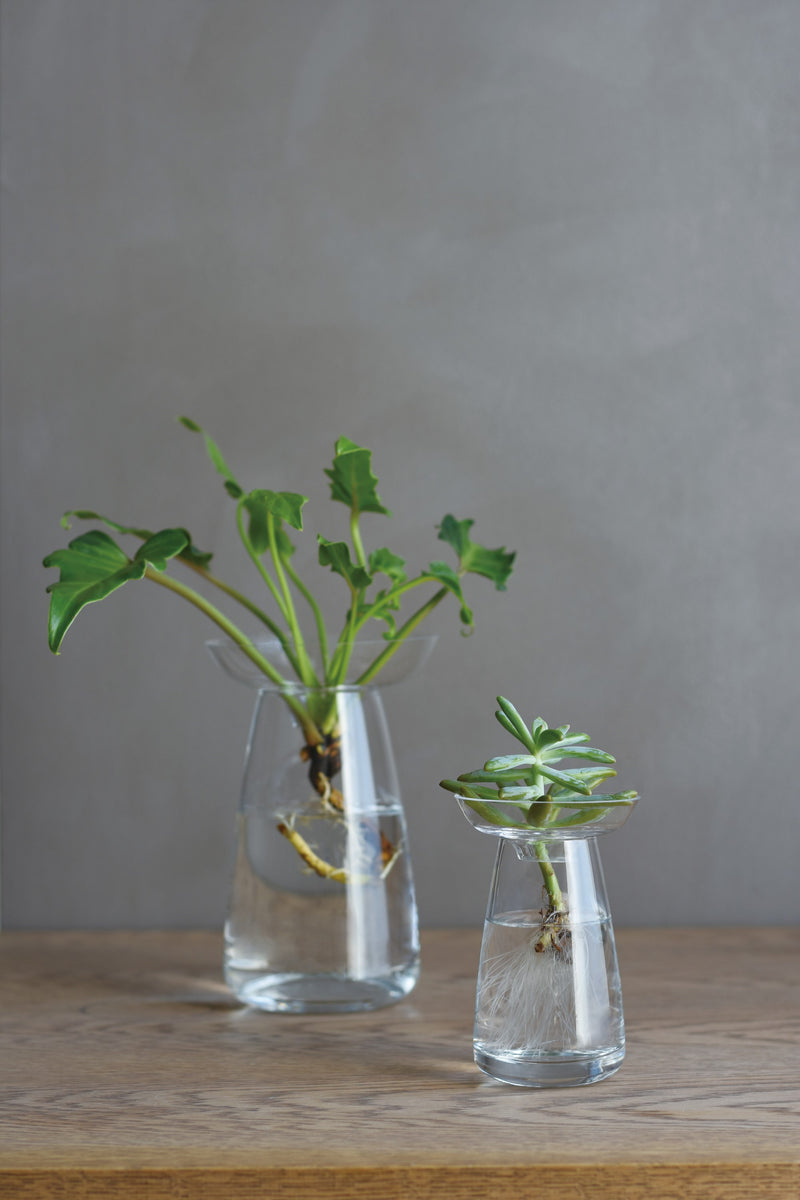 Kinto Aqua Culture Vase - Twin Flame Collections